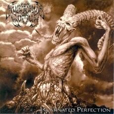 Incarnated Perfection mp3 Album by Suffering Souls