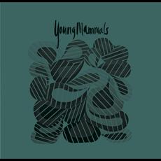 Build A House b/w Annie's Exit mp3 Single by Young Mammals