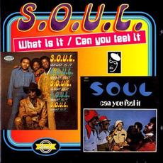 What Is It / Can You Feel It mp3 Artist Compilation by S.O.U.L.