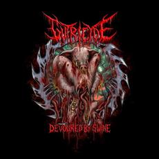 Devoured By Swine mp3 Album by Gutricyde