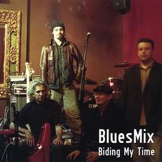 Biding My Time mp3 Album by BluesMix