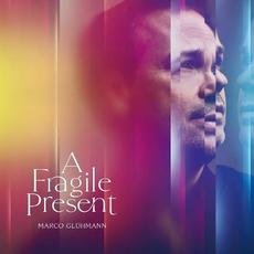 A Fragile Present mp3 Album by Marco Gluhmann