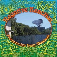 Frequencies from Montauk mp3 Album by Negative Reaction
