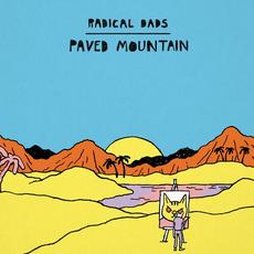 Paved Mountain mp3 Album by Radical Dads