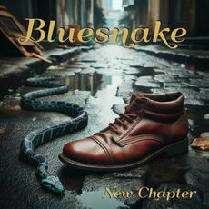 New Chapter mp3 Album by Bluesnake