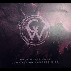 Cold Waves 2023 mp3 Compilation by Various Artists