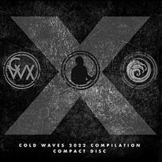 Cold Waves X mp3 Compilation by Various Artists