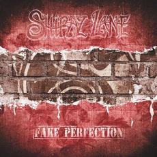 Fake Perfection mp3 Single by Shiraz Lane