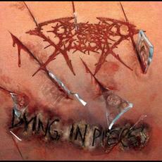 Dying in Pieces mp3 Album by Cutterred Flesh