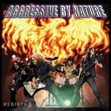 Rebirth mp3 Album by Aggressive By Nature