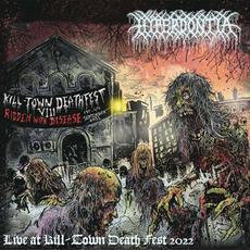 Live at Kill-Town Death Fest 2022 mp3 Live by Hyperdontia