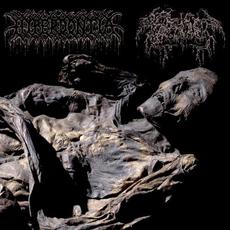 Hyperdontia / Septage mp3 Album by Hyperdontia