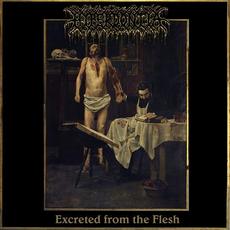 Abhorrence Veil & Excreted From The Flesh mp3 Album by Hyperdontia