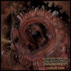 Nexus of Teeth mp3 Album by Hyperdontia