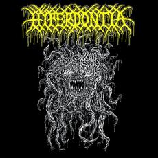 A Vessel Forlorn mp3 Album by Hyperdontia