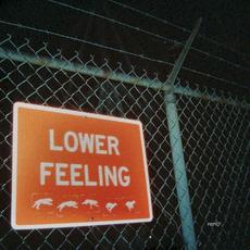 Lower Feeling mp3 Album by Rarity