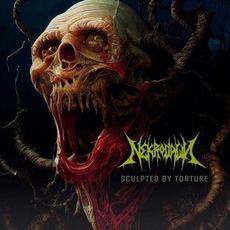 Sculpted by Torture mp3 Album by Nekrodawn