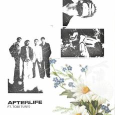 Afterlife mp3 Album by Tora