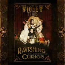 The Violet Tribe's Ravishing Collection Of Curios mp3 Artist Compilation by The Violet Tribe