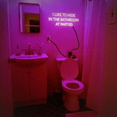 I Like to Hide in the Bathroom at Parties mp3 Single by Winnetka Bowling League