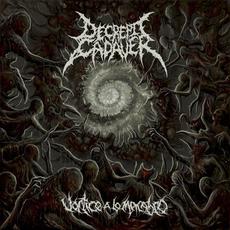 Vórtice a lo Macabro mp3 Album by Decrepit Cadaver