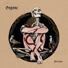 Pleroma mp3 Album by Orgone (2)