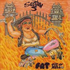 Fat Out of Hell mp3 Album by Section 5