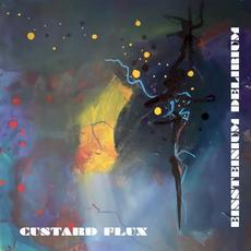 Einsteinium Delirium mp3 Album by Custard Flux