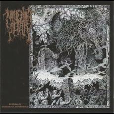 Realms of Exquisite Morbidity mp3 Album by Malignant Altar