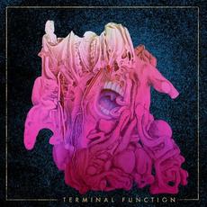 The Professor mp3 Single by Terminal Function