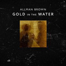 Gold in the Water mp3 Album by Allman Brown