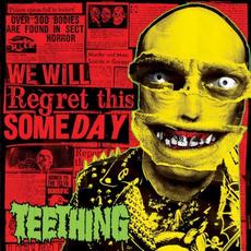 We Will Regret This Someday mp3 Album by Teething