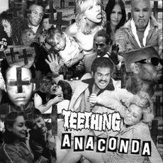 Anaconda (3") mp3 Single by Teething