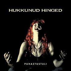 Puhastustuli mp3 Album by Hukkunud Hinged