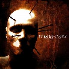 Dissimulation mp3 Album by Tracheotomy