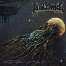 Waking Nightmares of an Endless Void mp3 Album by Intolerance