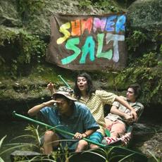 Driving to Hawaii mp3 Album by Summer Salt