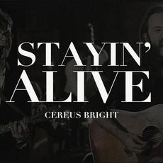 Stayin' Alive mp3 Single by Cereus Bright