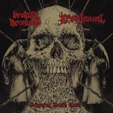 Scornful Death Trail mp3 Compilation by Various Artists