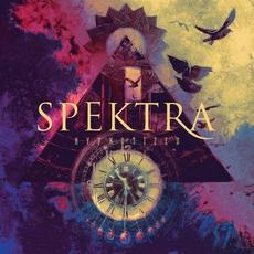 Our Time Is Now mp3 Single by Spektra