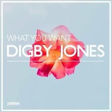 What You Want mp3 Single by Digby Jones