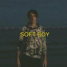 Soft Boy mp3 Single by Wilbur Soot