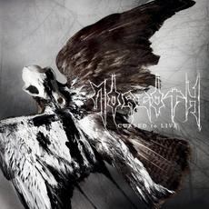 Cursed to Live (Limited Edition) mp3 Live by Morgoth