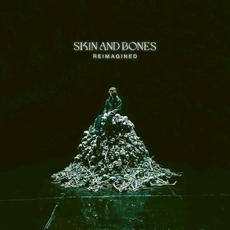 Skin and Bones (Reimagined) mp3 Single by David Kushner