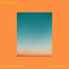 In My Bones (with Lost Frequencies) mp3 Single by David Kushner