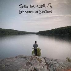 Goodbye Or Something mp3 Album by John Gallagher Jr.