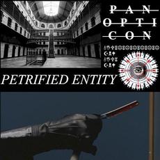 Panopticon mp3 Album by Petrified Entity