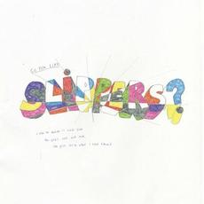 So You Like Slippers? mp3 Album by Slippers