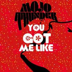 You Got Me Like mp3 Single by Mojo Thunder