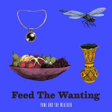 Feed The Wanting mp3 Album by Yumi and the Weather